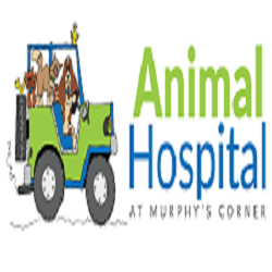 Animal Hospital At Murphy's Corner - Everett, WA 98208 - (425)316-8387 | ShowMeLocal.com