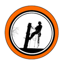 Skogstorp Träd & Gård - Trädfällning Eskilstuna Logo