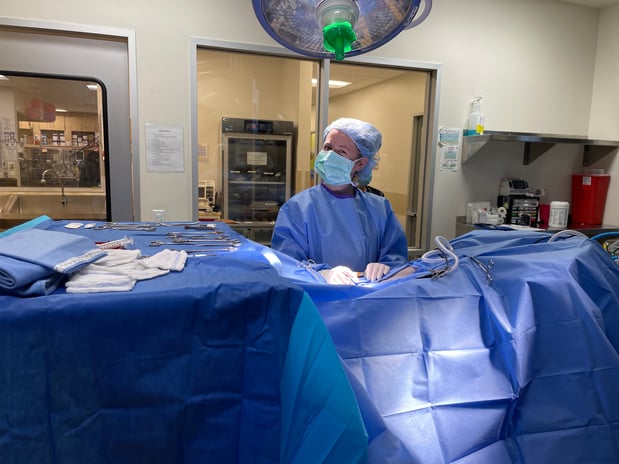 Images VCA West Los Angeles Animal Hospital