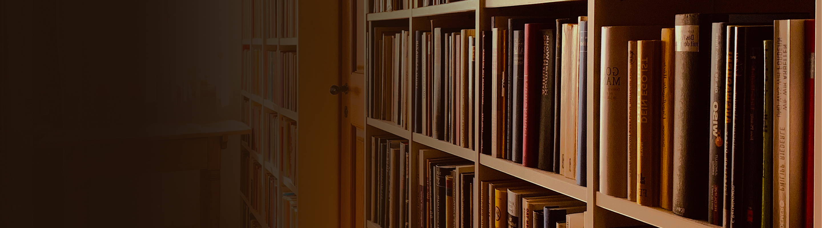 A library shelf full of books.