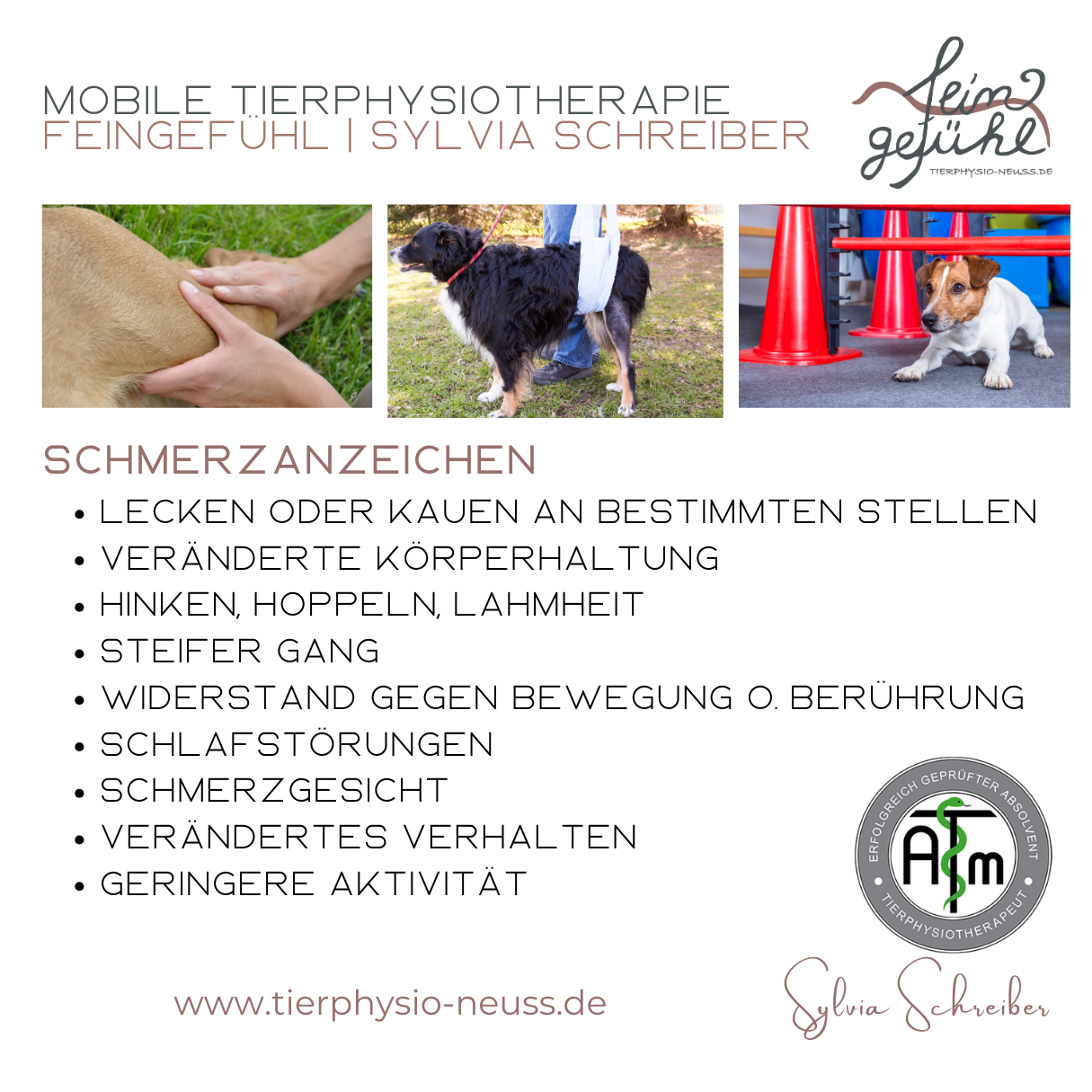 Tierphysiotherapie Feingefühl | mobile Tierphysiotherapie, Michaelstraße 9 in Neuss
