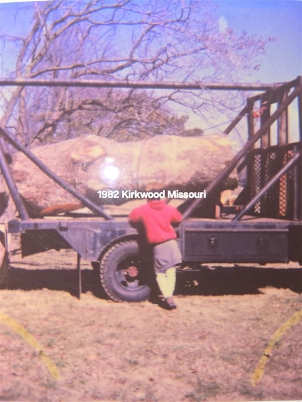 RLB Tree Service Image