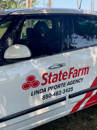 Images Linda Pforte - State Farm Insurance Agent