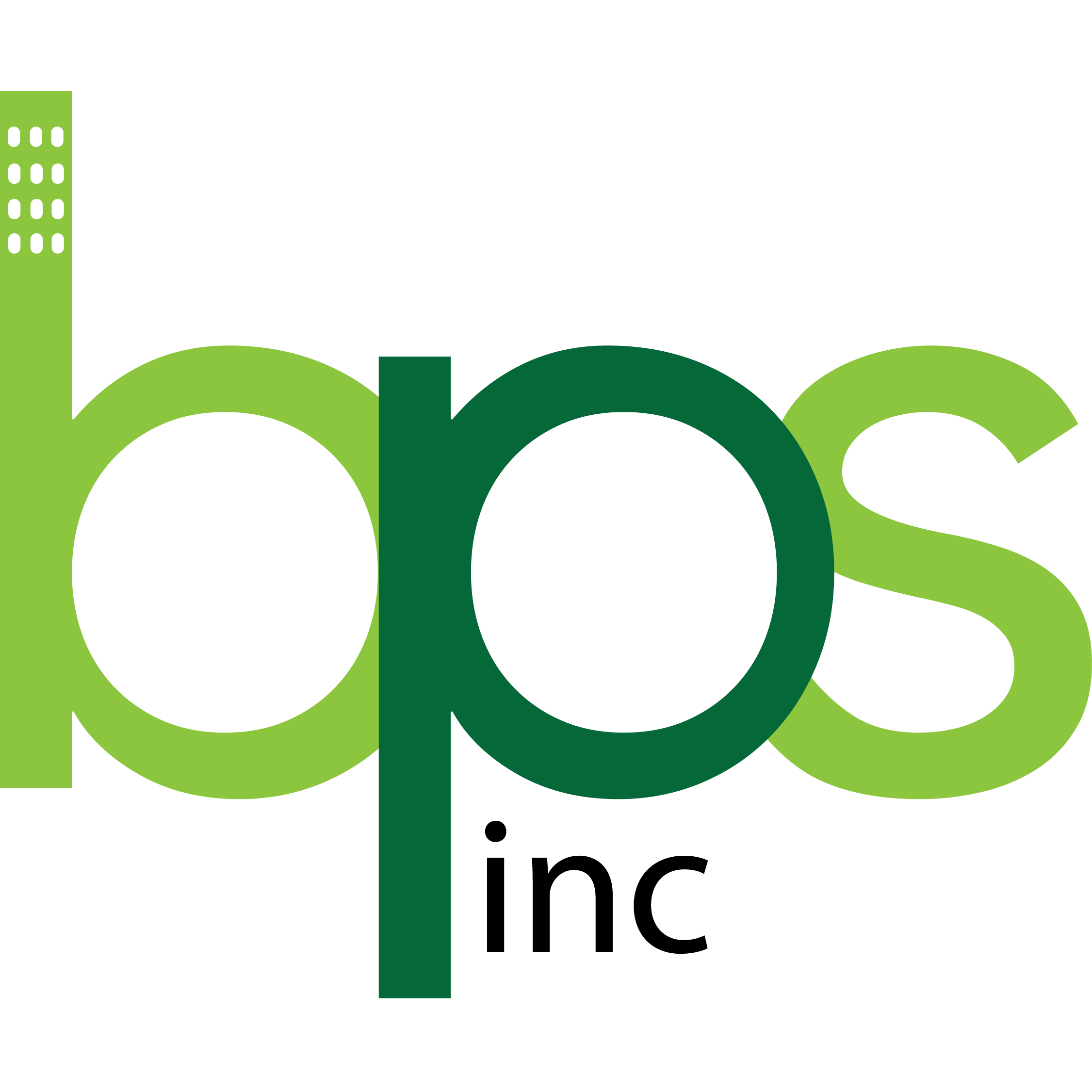 Big Picture Solutions, Inc Logo