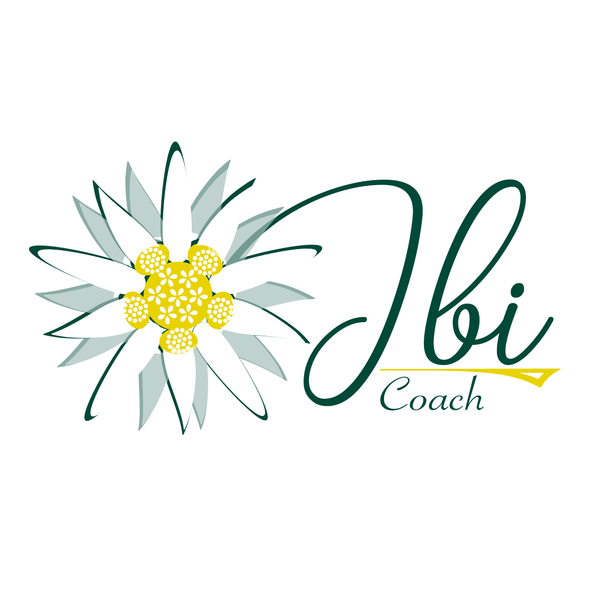 Ibi Gabriela Coach Online Logo