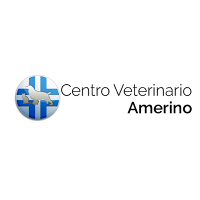 Ambulatorio Medico Veterinario Dr. Persichetti Piero Logo