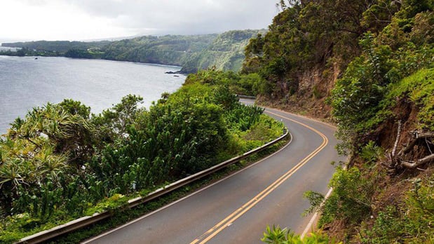 Images Daniel T Pagliarini AAL