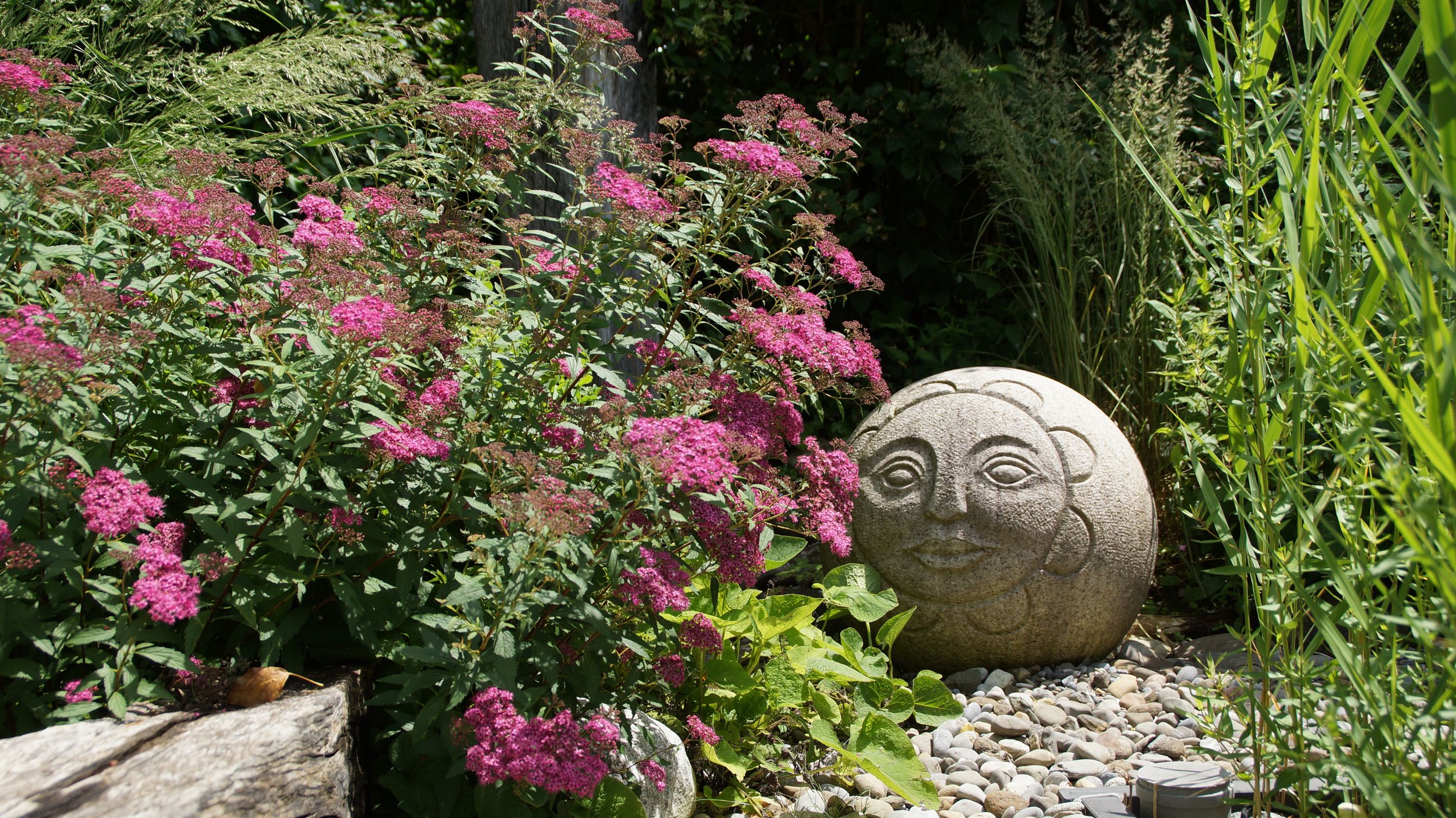 Bilder Fellmann Gartenbau AG