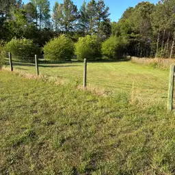 Sniffspot Yolistone Image