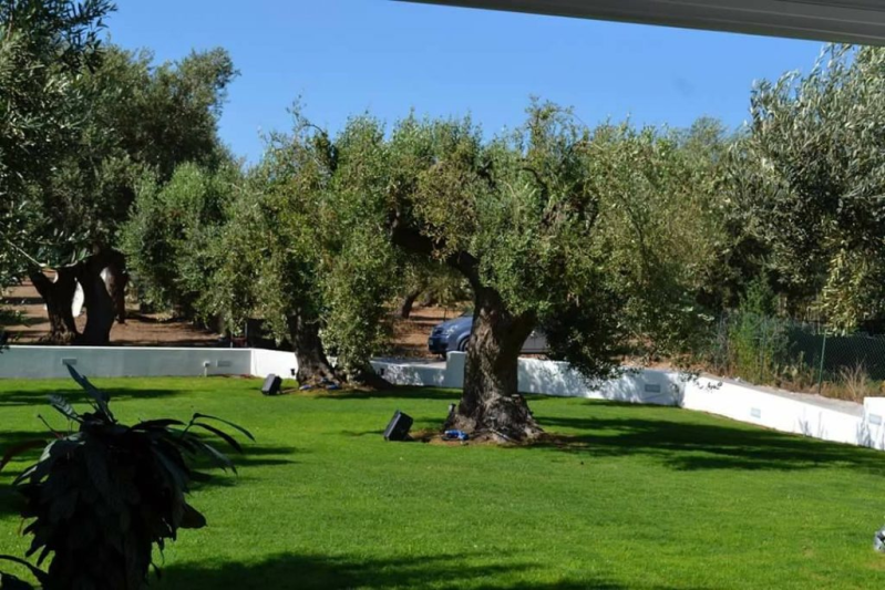 Images Roccella Garden