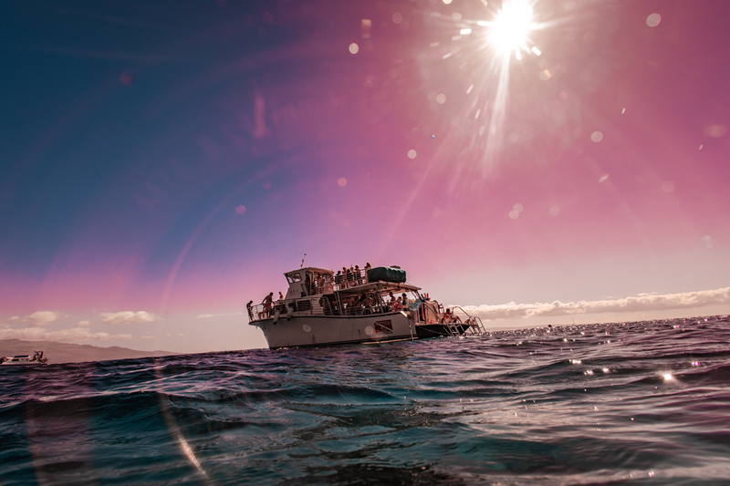 Images Maui Snorkeling