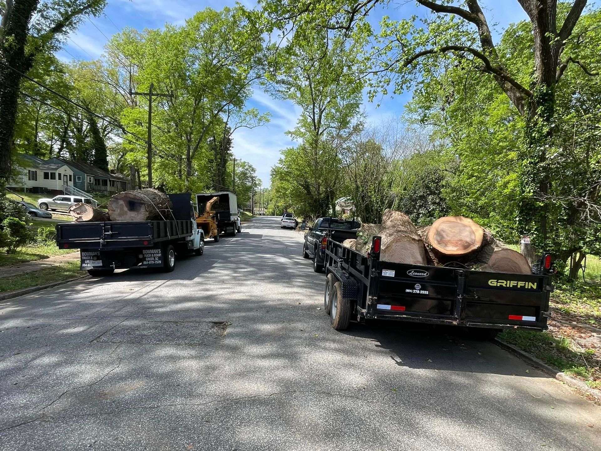 Residential street lined with trees showing trucks and trailers loaded with large cut tree logs, indicating active tree removal or cleanup work, with houses and parked vehicles visible along the road.