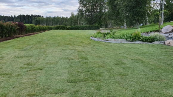 Images Mesiän Siirtonurmi