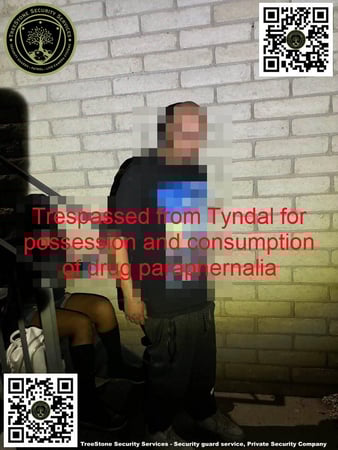 Images TreeStone Security Services
