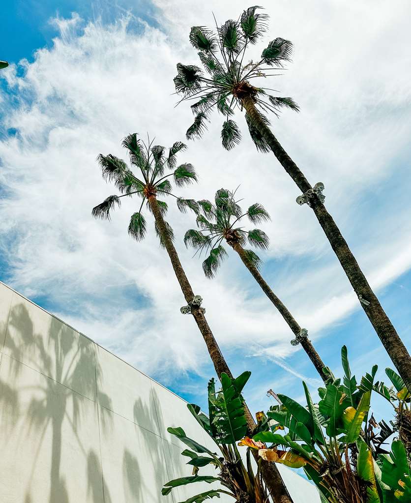 The Beverly Hilton