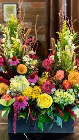 Images Flower Imagination