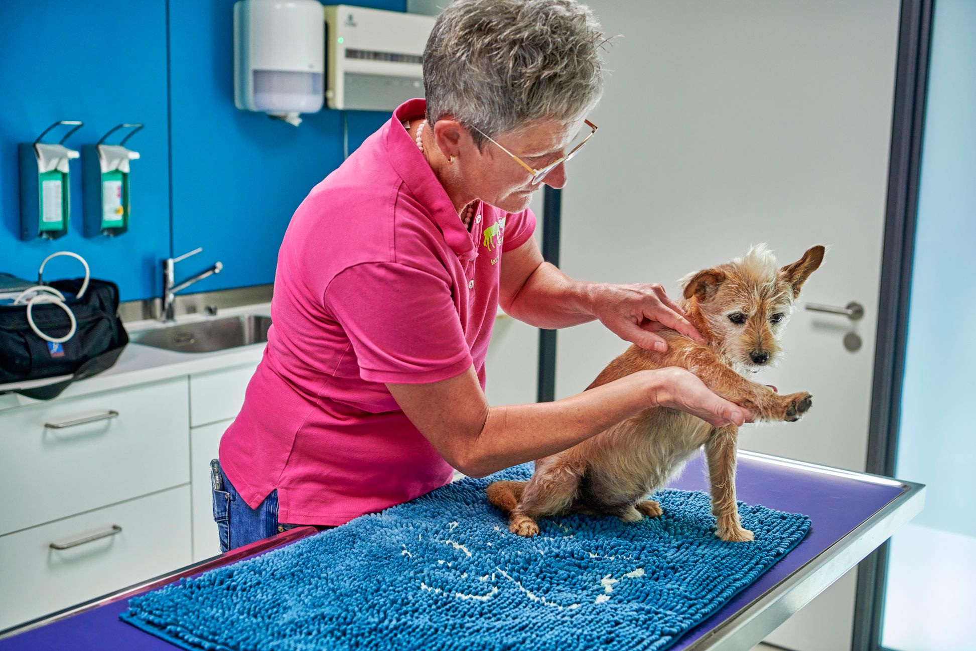 Bilder kompleTIER AG