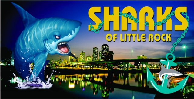 Sharks Fish and Chicken