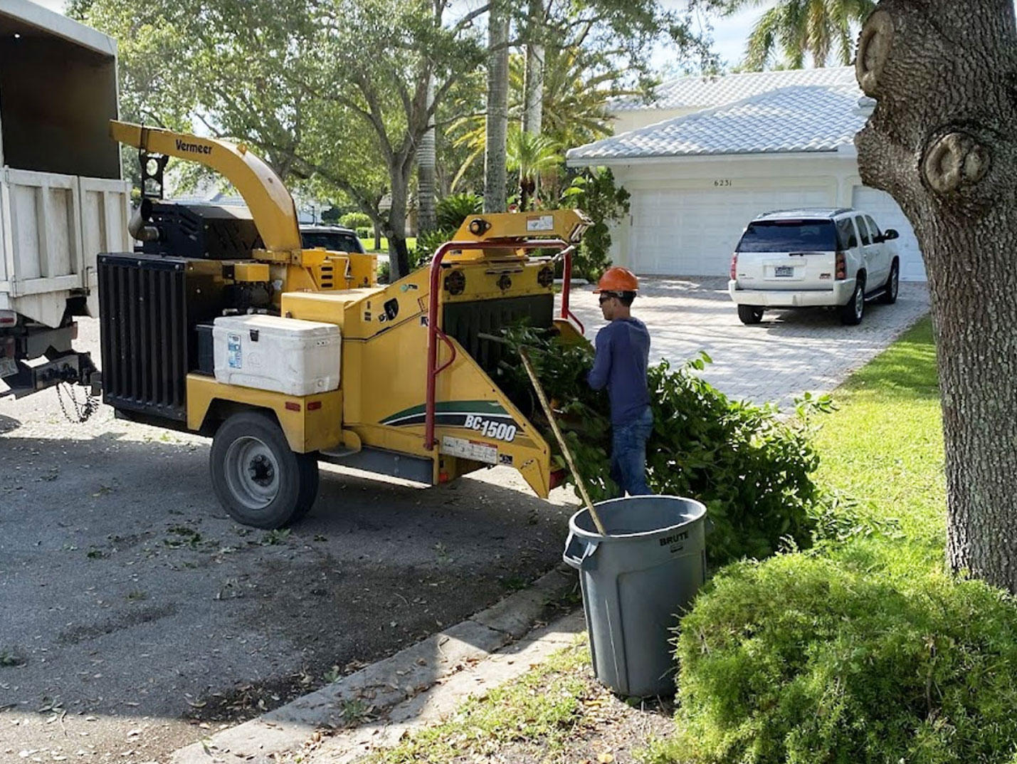 Tree Removal Fort Lauderdale Broward