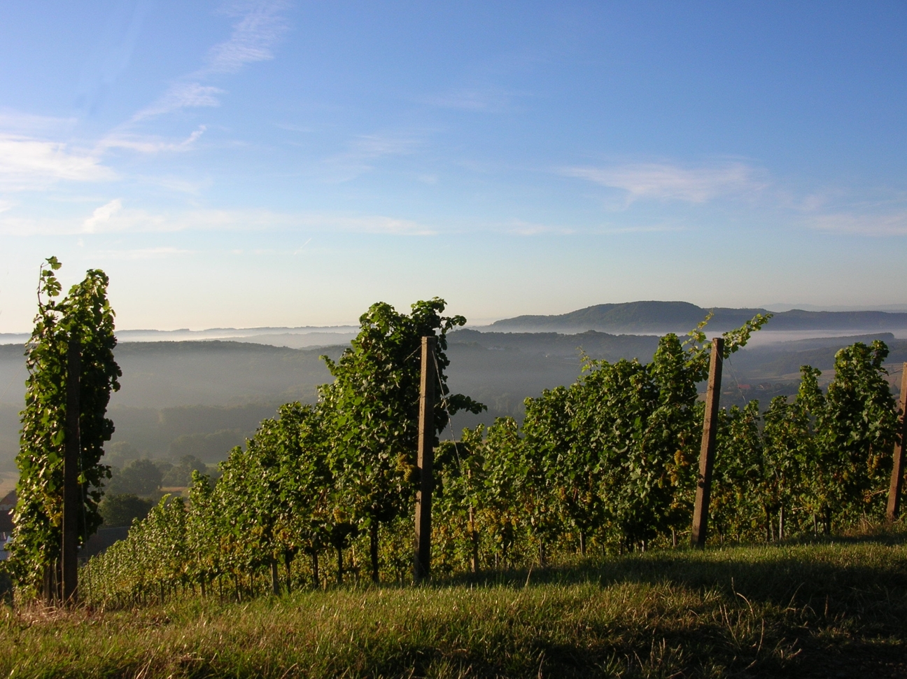 Weingut Triebl, Gießelsdorf 42 in Sankt Anna am Aigen