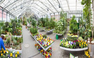 Images Vivai Euroflora