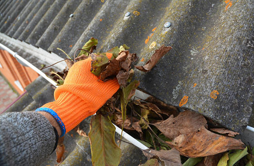 Need your gutter cleaned out? Contact us today.
