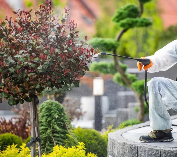 Images Safe Haven Pest Control