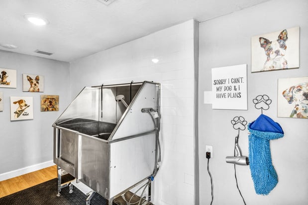 Images Stassney at SoCo