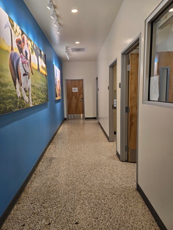 Images Vetco Total Care Animal Hospital