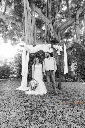 Images The Tree House Fort Myers