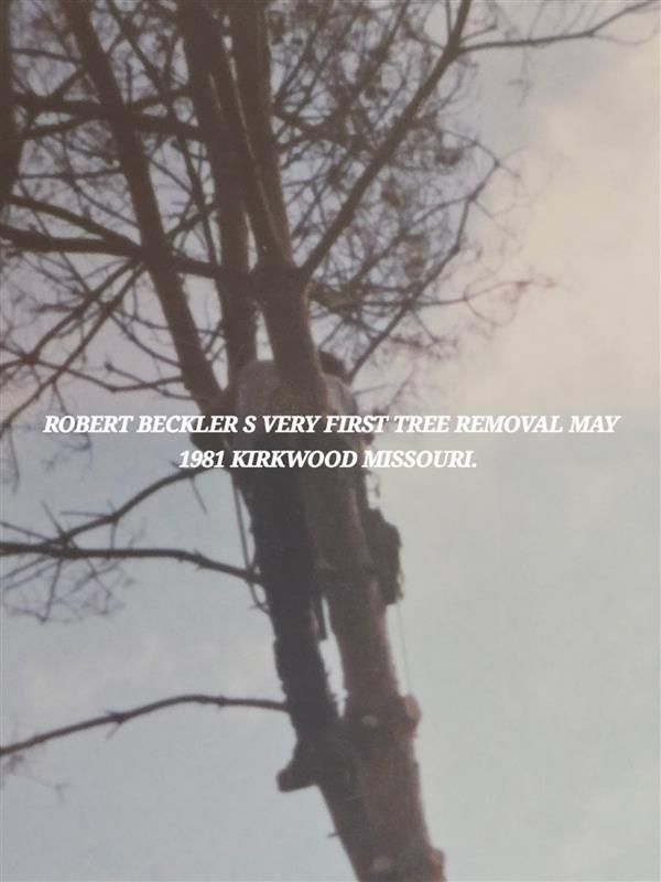 RLB Tree Service Image