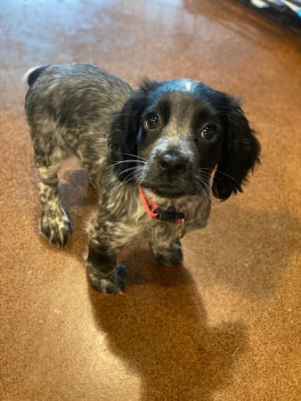 Images Stephen Gainous - State Farm Insurance Agent