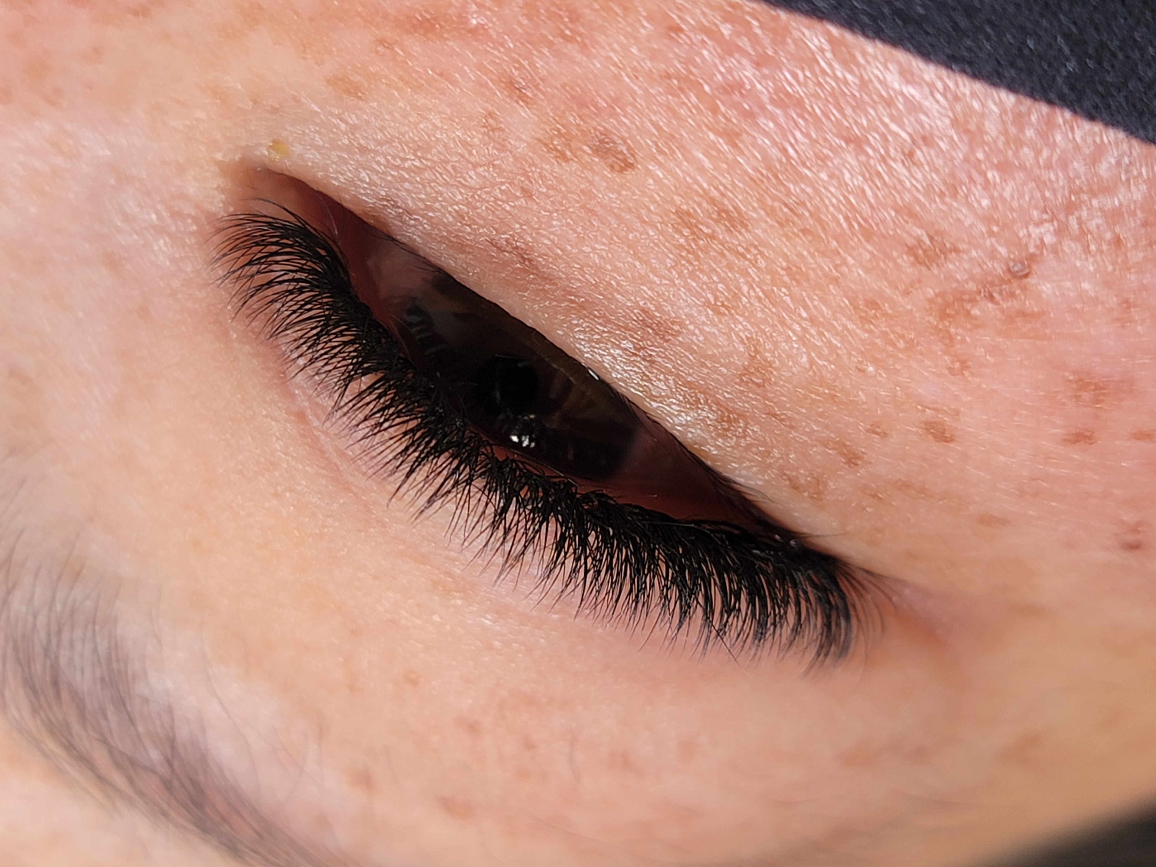 Images Lashista - Formation cils - Pose de cils - Produits de cils Longueuil