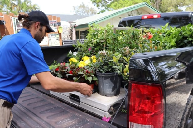Images Terra Nova Nursery & Gardens