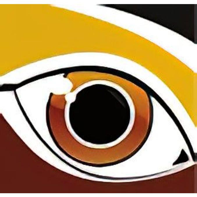 Retina & Eye Specialists of New Jersey Logo