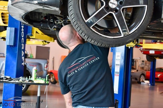 Images Loudoun County Exotics