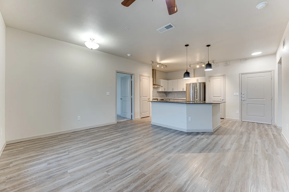 Open Kitchen and Living Room