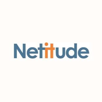 Netitude Logo