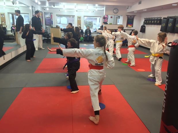 Images Steve DeMasco's Martial Arts of Wellesley