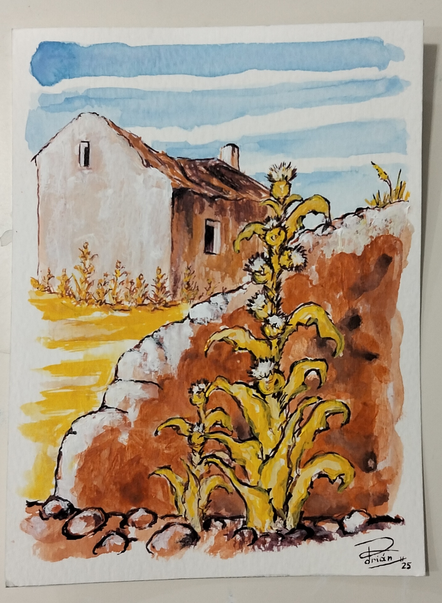 Images Adrian Fresneda Moreno