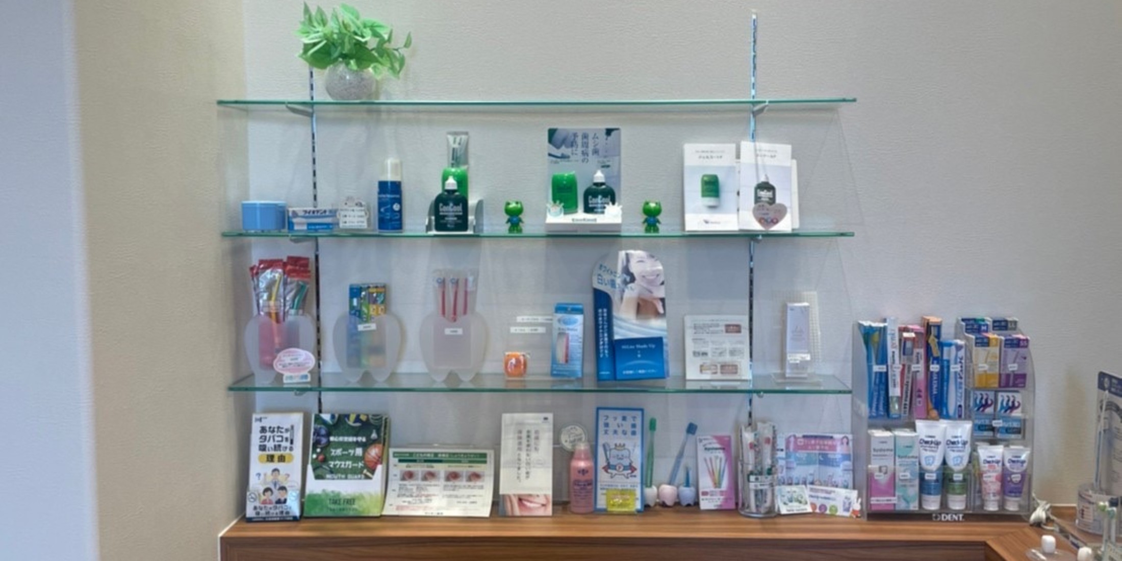 Images 平岡マリオン歯科