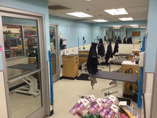 Images Petco