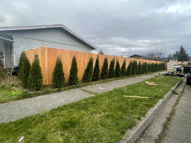 Images Julio's Landscaping