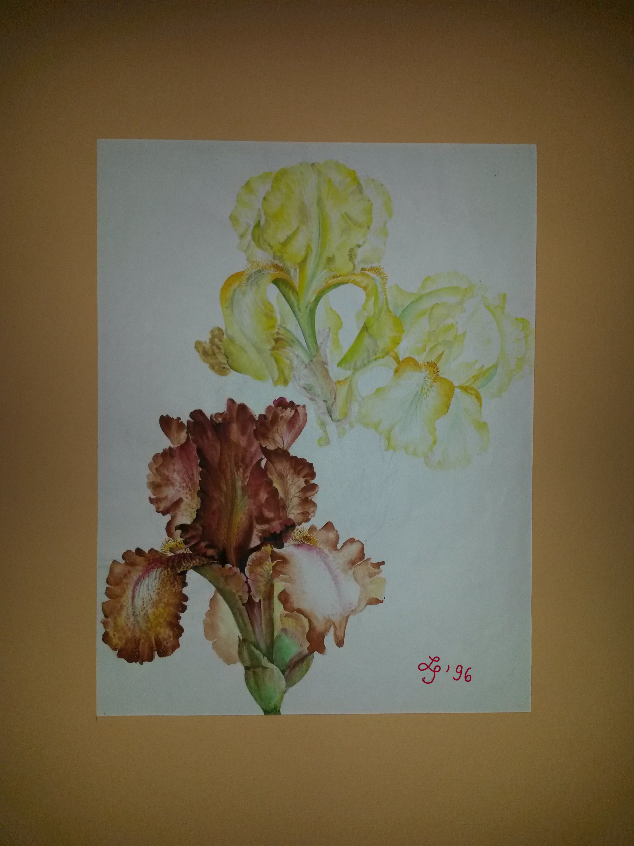 Lätitia Sundermann, Striesener Str. 2 in Dresden