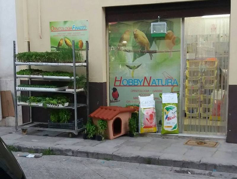 Hobby Natura Pet Shops Equipment And Supplies For Manufacture Wholesale In Partinico Address Schedule Reviews Tel 3487391 Infobel