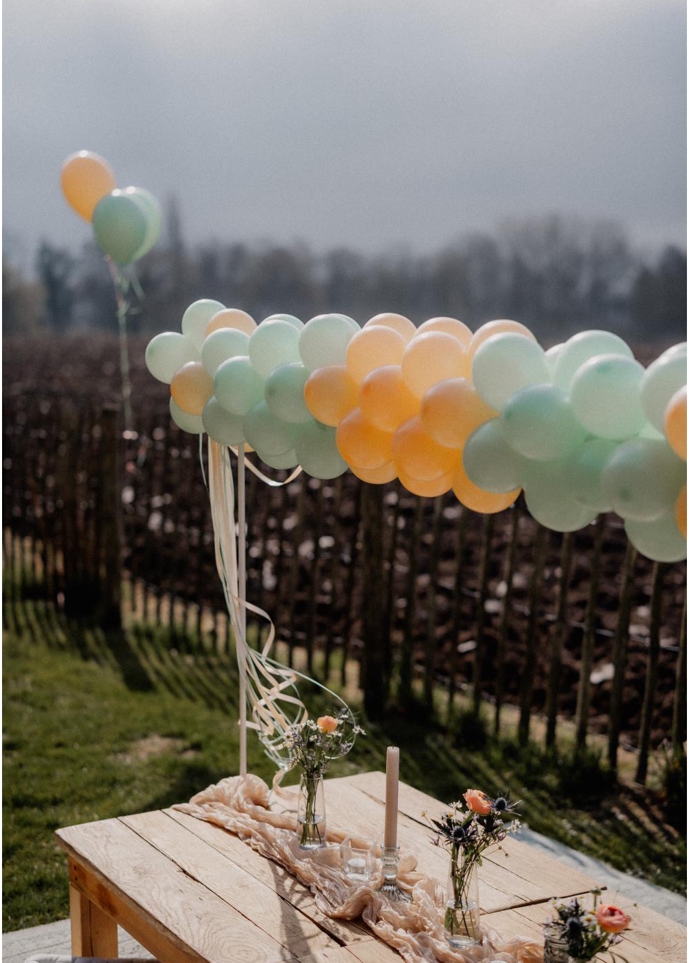 Die Packerie UG Ballonatelier, Alter Postweg 66 in Bielefeld