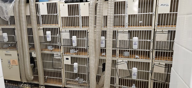 Images Petco Grooming