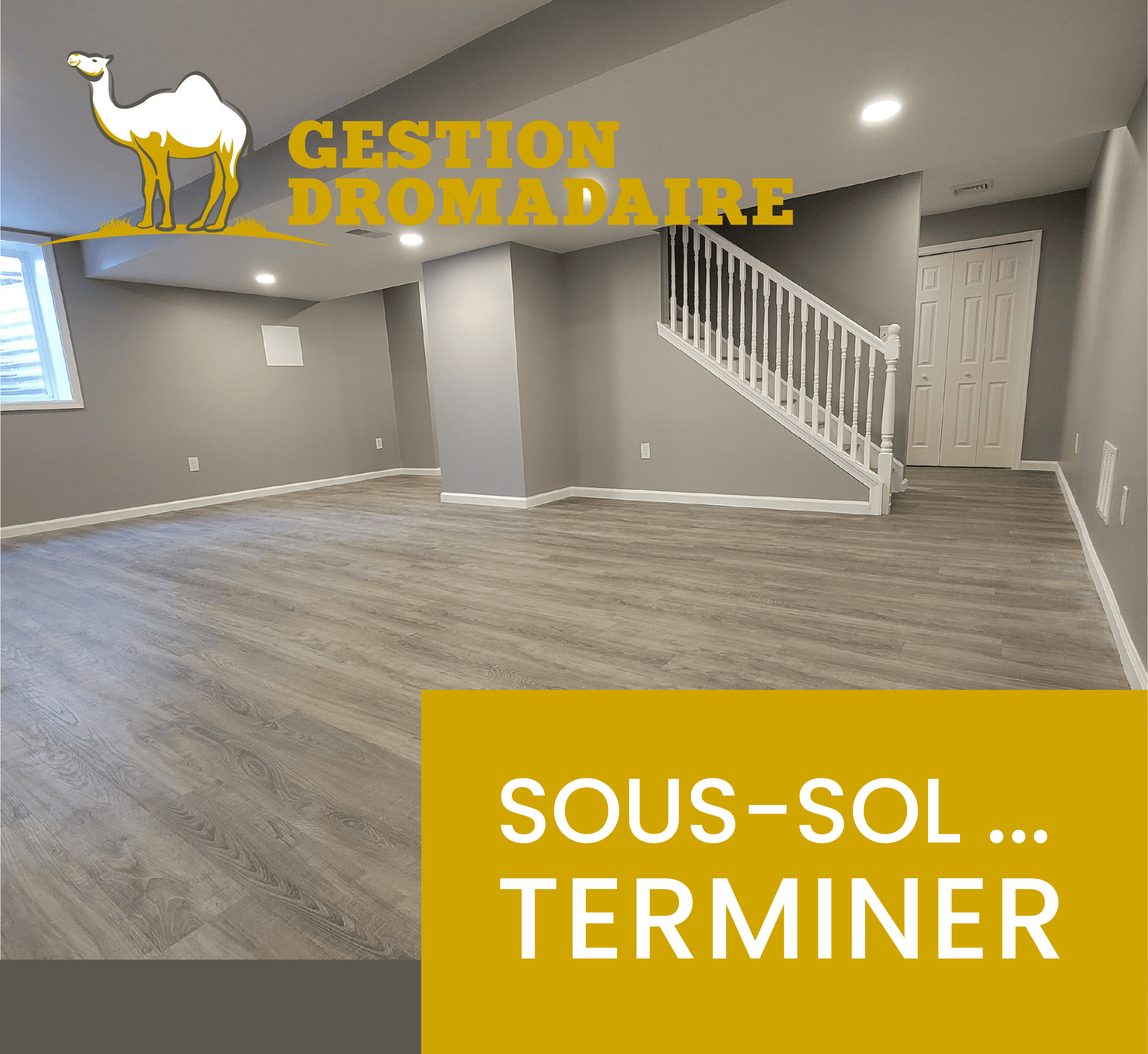 Images Gestion Dromadaire Inc