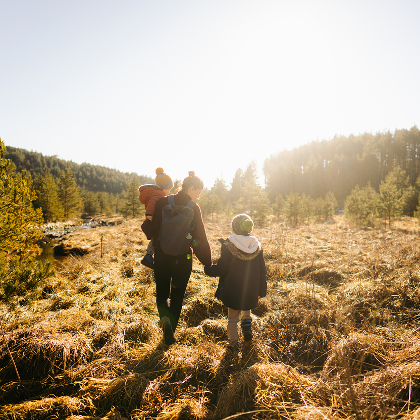 A mother and her two children holding hands while walking through a sunlit forest.