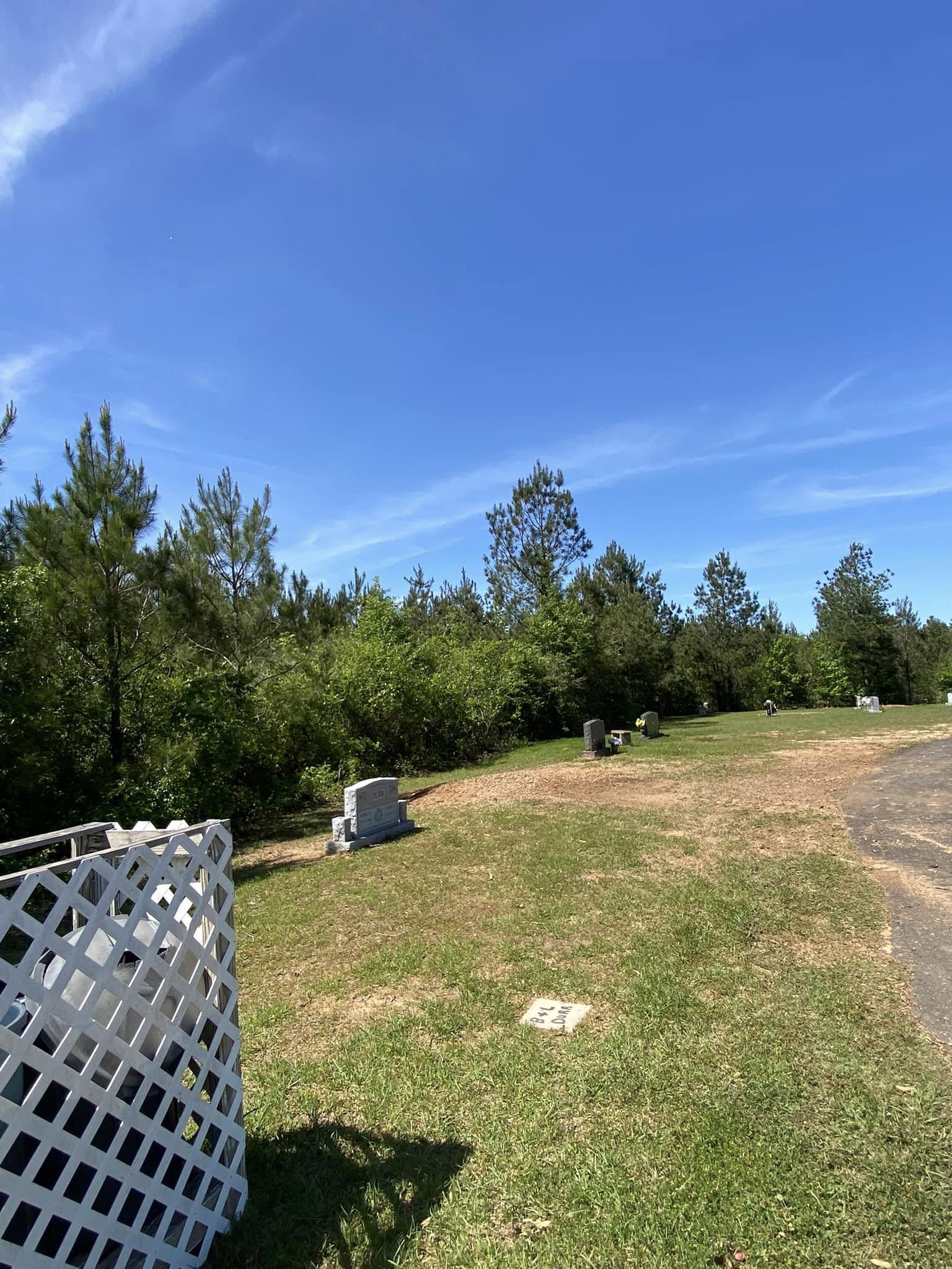 Bynog's Tree Services Image